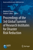 COLLINS, Collins, Andrew Collins, Hirokaz Tatano, Hirokazu Tatano - Proceedings of the 3rd Global Summit of Research Institutes for Disaster Risk Reduction