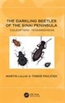 Martin Lillig, Martin (Bund Lillig, Tom&aacute;&scaron; Pavl&iacute;ček - Darkling Beetles of the Sinai Peninsula
