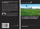 Patrick Banza - La ecolog&iacute;a microbiana de la ciudad de Lubumbashi