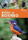 Ms Susan Myers, Susan Myers, Myers Susan, Carlos Bocos Gonzalez, Liew Weng Keong - Birds of Borneo