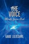 GABE LILIEDAHL, Gabe Liliedahl - The Voice: Words from God Volume 1