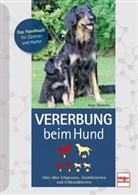 Inge Hansen - Vererbung beim Hund