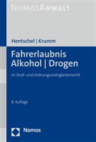 Peter Hentschel, Carsten Krumm - Fahrerlaubnis