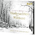 Theodor Fontane, Christian Berkel - Weihnachten mit Fontane. Geschichten und Gedichte, 1 Audio-CD (Audio book)