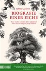 James Canton - Biografie einer Eiche