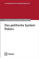 Stefan Garsztecki, Robert Grzeszczak, Ale Maatsch, Aleksandra Maatsch, Dariusz Wojtaszyn - Das politische System Polens