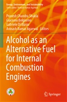 Avinash Kumar Agarwal, Giacomo Belgiorno, Gabriele Di Blasio, Gabriele Di Blasio et al, Pravesh Chandra Shukla - Alcohol as an Alternative Fuel for Internal Combustion Engines