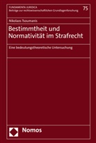 Nikolaos Tsoumanis - Bestimmtheit und Normativit&auml;t im Strafrecht