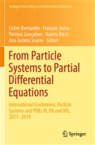 C&eacute;dric Bernardin, Fran&ccedil;ois Golse, Patr&iacute;cia Gon&ccedil;alves, Patr&iacute;cia Gon&ccedil;alves et al, Valeria Ricci, Ana Jacinta Soares - From Particle Systems to Partial Differential Equations