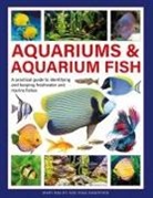 Mary Bailey, Gina Sandford, Mary Sandford, Sandford Gina - Aquariums & Aquarium Fish