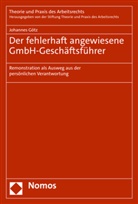 Johannes G&ouml;tz, Stiftung Theorie und Praxis des Arbeitsre - Der fehlerhaft angewiesene GmbH-Gesch&auml;ftsf&uuml;hrer