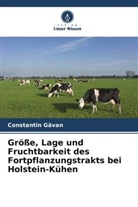 Constantin G&iquest;van, Constantin Gavan - Gr&ouml;&szlig;e, Lage und Fruchtbarkeit des Fortpflanzungstrakts bei Holstein-K&uuml;hen