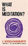 J Krishnamurti, J. Krishnamurti, Krishnamurti J. - What is Meditation?