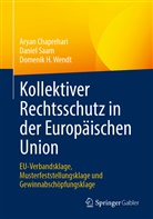 Aryan Chaprehari, Daniel Saam, Domenik H Wendt, Domenik H. Wendt - Kollektiver Rechtsschutz in der Europ&auml;ischen Union