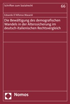 Edoardo D'Alfonso Masari&eacute; - Die Bew&auml;ltigung des demografischen Wandels in der Alterssicherung im deutsch-italienischen Rechtsvergleich