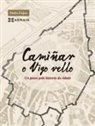 Pedro Feijoo Barreiro - Cami&ntilde;ar o Vigo vello : un paseo pola historia da cidade