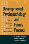 Susan B. Campbell, Campbell Susan B., E. Mark Cummings, Cummings E. Mark, Patrick T. Davies, Davies Patrick T. - Developmental Psychopathology and Family Process