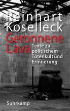 Reinhart Koselleck, Manfred Hettling, Hubert Locher, Adriana Markantonatos - Geronnene Lava