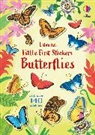 Jane Bingham, Jane (EDFR) Bingham, Bingham Jane, Jane Bingham, Sally Agar - Butterflies