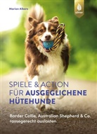 Marion Albers - Spiele und Action f&uuml;r ausgeglichene H&uuml;tehunde