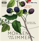 Ermal Meta, Max Urlacher - Morgen und f&uuml;r immer, 2 Audio-CD, 2 MP3 (Audio book)