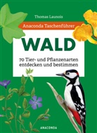 Thomas Launois, Xavier Nitsch, Sophie Padi&eacute;, Sophie u a Padi&eacute;, Morgane Peyrot, Charles Zettel - Anaconda Taschenf&uuml;hrer Wald - 70 Tier- und Pflanzenarten entdecken und bestimmen