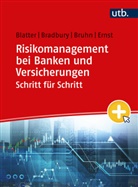 Anja Blatter, Anja (Prof. Dr.) Blatter, Sean Bradbury, Pa Bruhn, Pascal Bruhn, E... - Risikomanagement bei Banken und Versicherungen Schritt f&uuml;r Schritt
