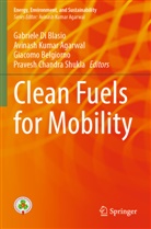 Avinash Kumar Agarwal, Giacomo Belgiorno, Giacomo Belgiorno et al, Gabriele Di Blasio, Avinash Kumar Agarwal, Pravesh Chandra Shukla - Clean Fuels for Mobility