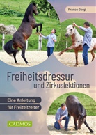 Franco Gorgi - Freiheitsdressur und Zirkuslektionen