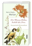 Maria Sibylla Merian - Das poetische Blumenalbum