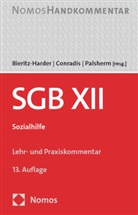 Renate Bieritz-Harder, Wolfgang Conradis, Ingo Palsherm - SGB XII