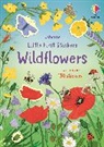Caroline Young, Sarah Watkins, Watkins Sarah - Little First Stickers Wildflowers