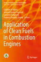 Avinash Kumar Agarwal, Giacomo Belgiorno, Giacomo Belgiorno et al, Gabriele Di Blasio, Avinash Kumar Agarwal, Pravesh Chandra Shukla - Application of Clean Fuels in Combustion Engines
