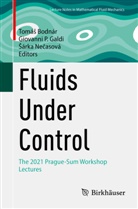 Tom&aacute;&iquest; Bodn&aacute;r, Tom&aacute;s Bodn&aacute;r, Giovanni P. Galdi, &iquest;&Aacute;rka Ne&iquest;asov&aacute;, S&aacute;rka Necasov&aacute;, Giovanni P Galdi - Fluids Under Control