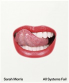 Christopher Bollen, Bettina Funcke, Asad Raza, Dirk Luckow, Dirk Luckow (Dr.) - Sarah Morris