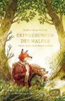 Micka&euml;l Brun-Arnaud, Mika&euml;l Brun-Arnaud, Sanoe, Sanoe, Julia S&uuml;&szlig;brich - Erinnerungen des Waldes