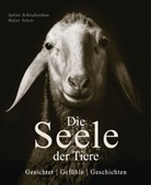 Sabine Remy-Schwabenthan, Walter Schels - Die Seele der Tiere. Gesichter. Gef&uuml;hle. Geschichten