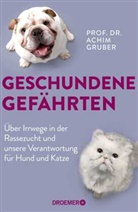 Achim Gruber, Achim (Prof. Dr.) Gruber - Geschundene Gef&auml;hrten
