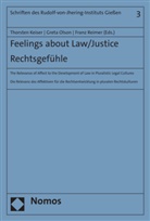 Thorsten Keiser, Greta Olson, Franz Reimer - Feelings about Law/Justice. Rechtsgef&uuml;hle