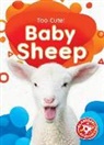 Betsy Rathburn - Baby Sheep