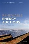 Anton (Professor Emeritus and Senior Sch Eberhard, Anton Eberhard, Eberhard Anton, Wikus Kruger - Renewable Energy Auctions