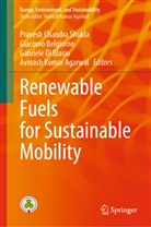 Avinash Kumar Agarwal, Giacomo Belgiorno, Gabriele  Di Blasio, Gabriele Di Blasio, Gabriele Di Blasio et al, Pravesh Chandra Shukla - Renewable Fuels for Sustainable Mobility