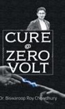 Biswaroop Roy Chowdhury - Cure @ Zero Volt