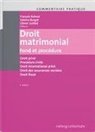 Laura Amey, Muriel Barrelet, C&eacute;dric Baume, Fran&ccedil;ois Bohnet, Sabr Burgat, Sabrina Burgat... - Commentaire pratique Droit matrimonial