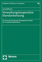 Julia Hoffmann - Verwaltungskooperative Standardsetzung
