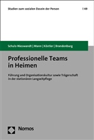 Hermann Brandenburg, Ur K&ouml;stler, Ursula K&ouml;stler, Kristina Mann, Frank Schulz-Nieswandt - Professionelle Teams in Heimen