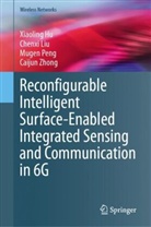 Xiaoling Hu, Chenxi Liu, Mugen Peng, Mugen et al Peng, Caijun Zhong - Reconfigurable Intelligent Surface-Enabled Integrated Sensing and Communication in 6G