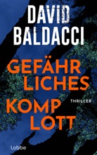 David Baldacci - Gef&auml;hrliches Komplott