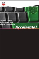 Tetjana Golub, Mar_ja Tjagunova, Mar&iquest;ja Tjagunova, _rina Zelen'ova, &iquest;Rina Zelen'ova - Complexe logiciel et mat&eacute;riel pour une classification rapide des textes