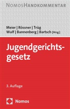 Britta Bannenberg, Tillmann Bartsch, Bernd-Dieter Meier, Dieter R&ouml;ssner, Gerson Tr&uuml;g, Gerson Tr&uuml;g u a... - Jugendgerichtsgesetz